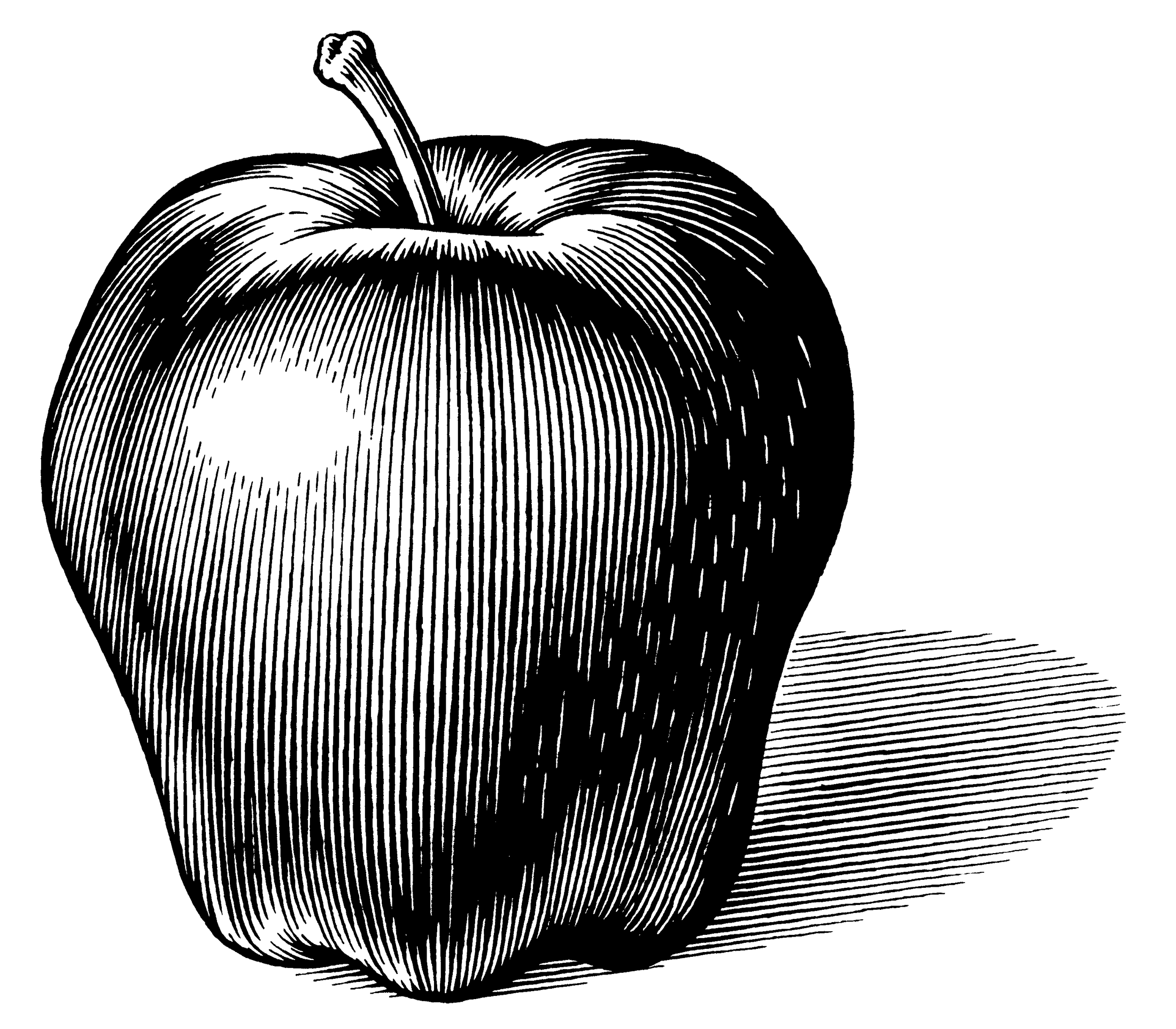 An Apple Illustration for an Ad advertising classic illustration pen and ink vintage woodcut