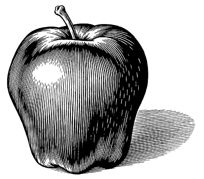 An Apple Illustration for an Ad advertising classic illustration pen and ink vintage woodcut