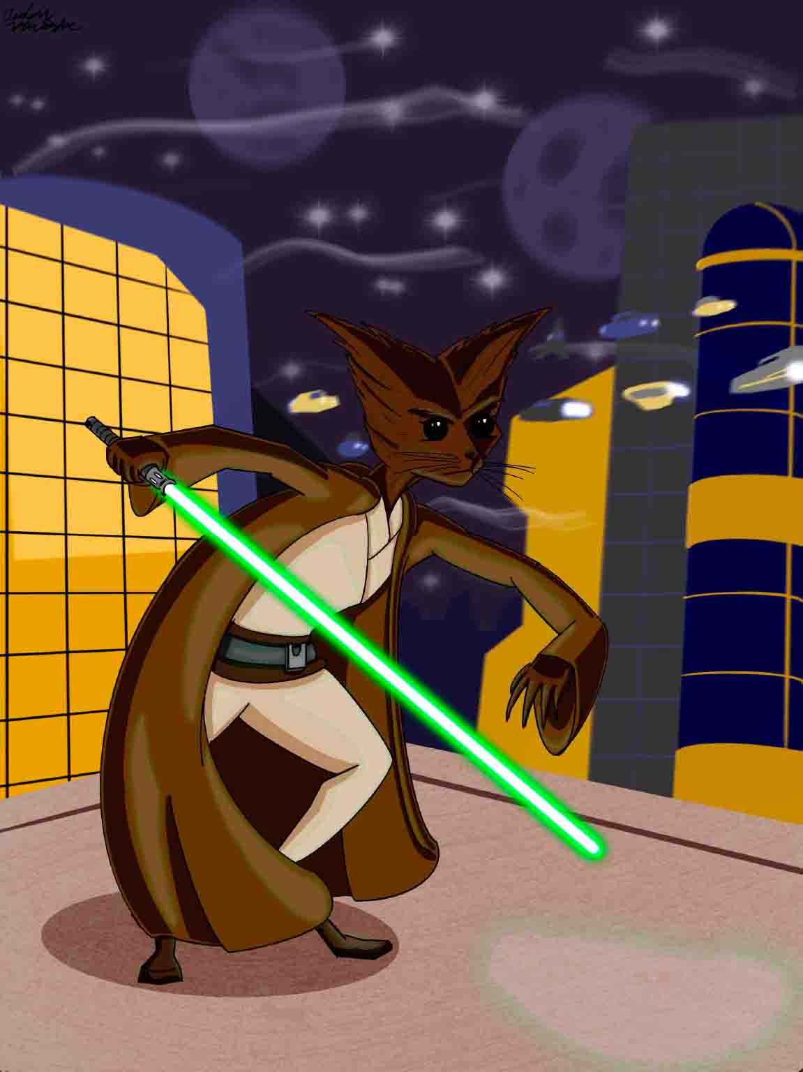 Jedi Master Emandrawkcab illustration star wars™