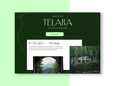 Website concept for a glamping hotel design graphic design ui ux web