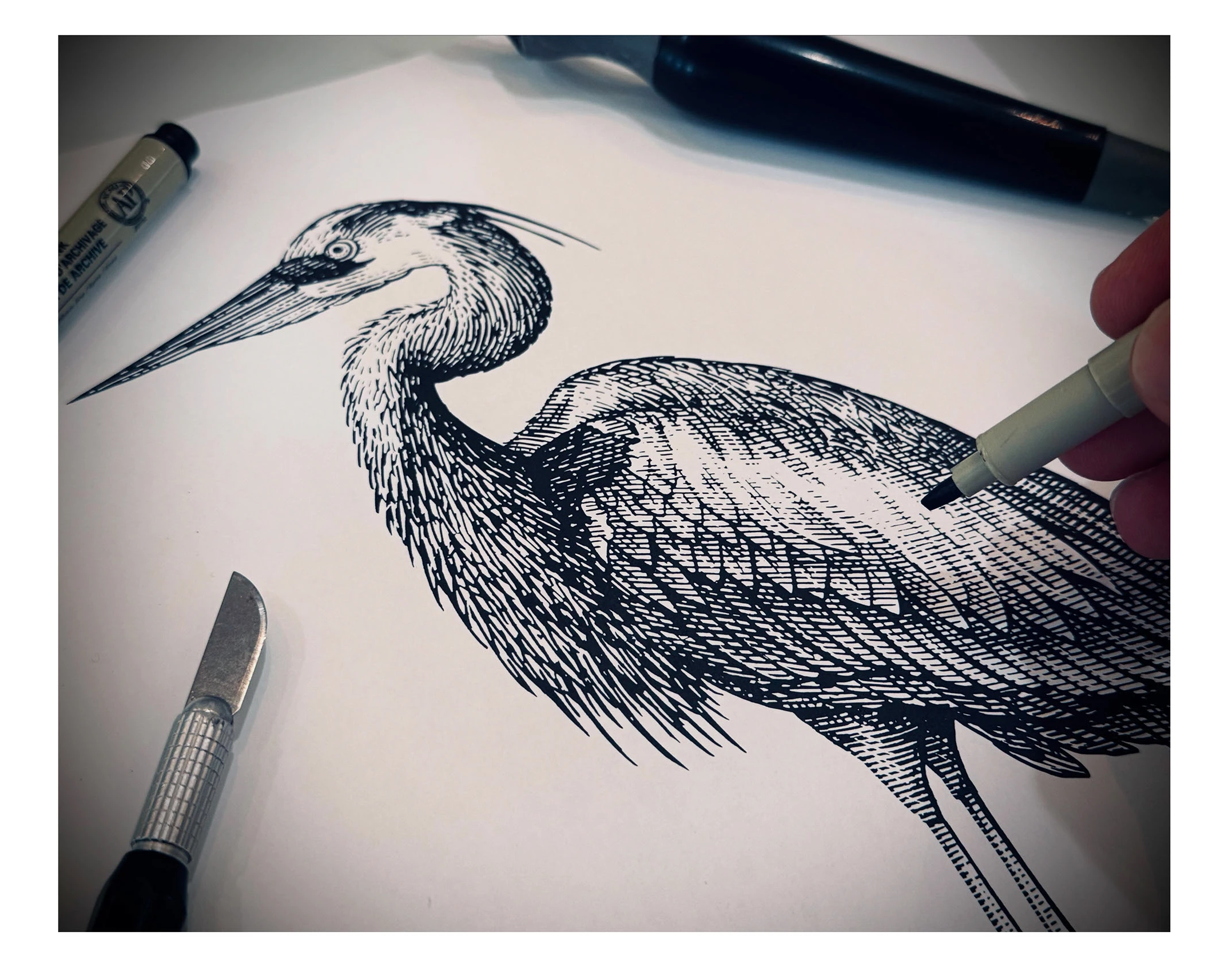 Houston Museum of Natural Science by Steven Noble artwork branding design engraving etching illustration line art scratchboard steven noble woodcut