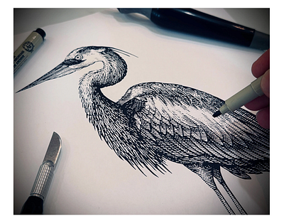 Houston Museum of Natural Science by Steven Noble artwork branding design engraving etching illustration line art scratchboard steven noble woodcut