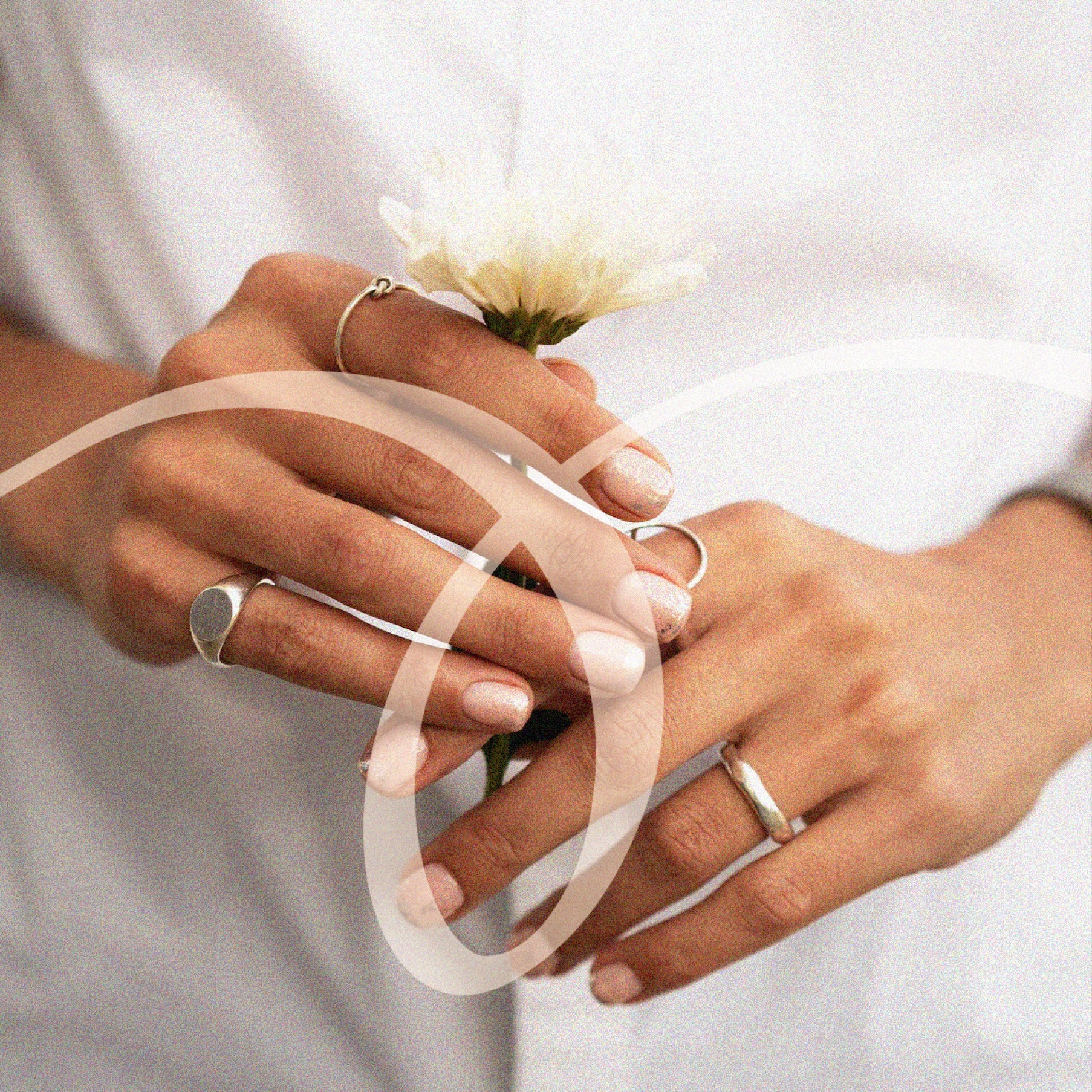 POLISH & CO BRAND IDENTITY branding design graphic design illustration logo logo design