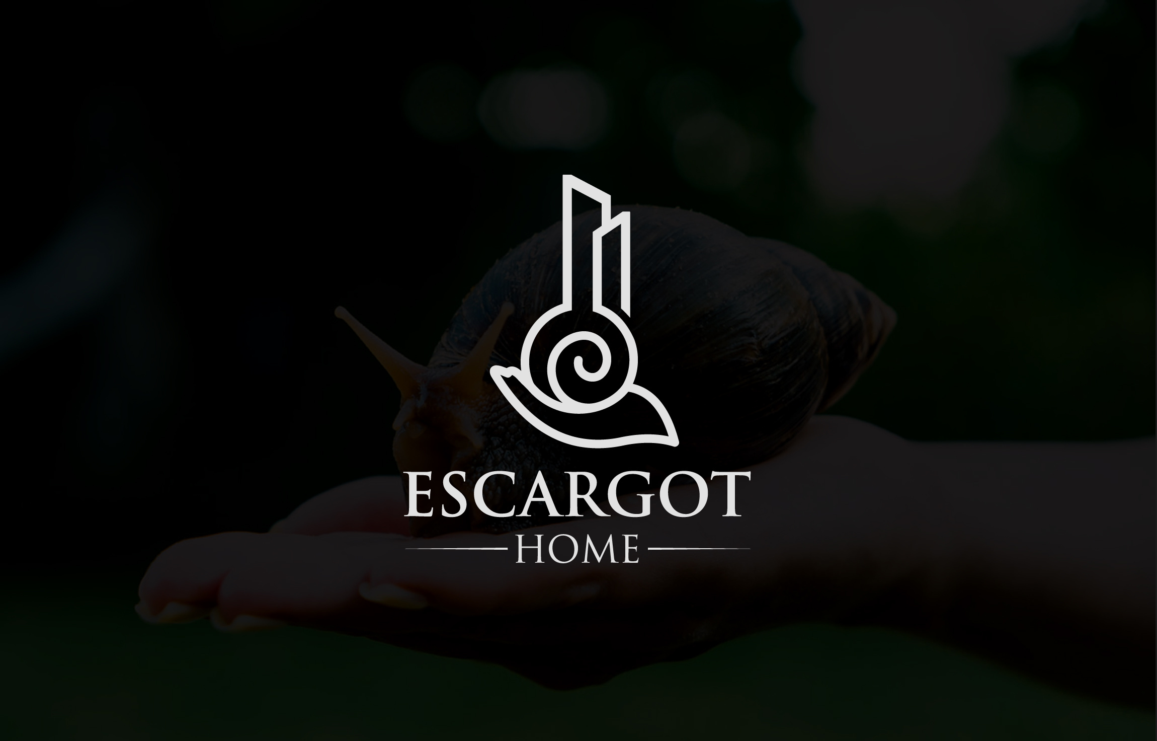 Example of Professional Logo Design (Single) 