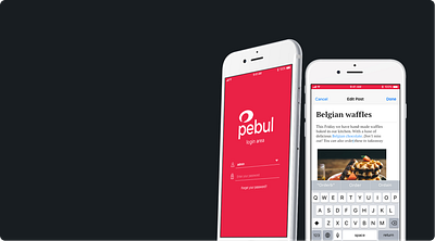 Pebul App branding design logo ui ux