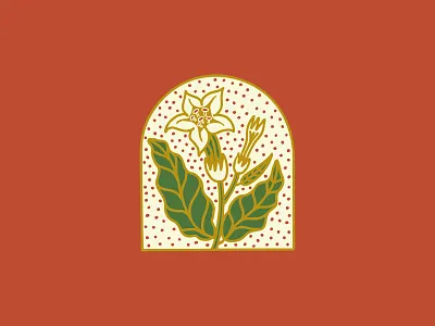 Tobacco plant illustration | Unused 🌸 apparel badge branding design graphic design illustration lettering logo t shirt