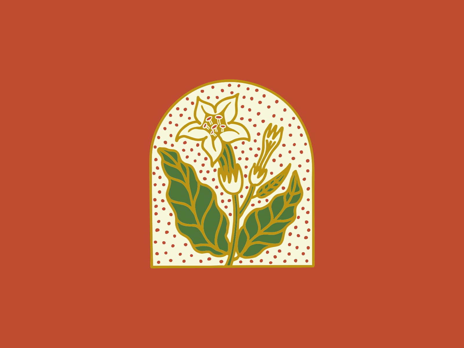 Example of Tobacco plant illustration | Unused 🌸