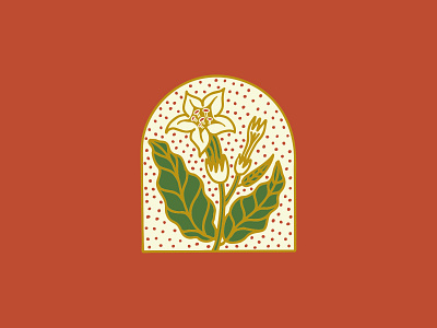 Tobacco plant illustration | Unused 🌸 apparel badge branding design graphic design illustration lettering logo t shirt