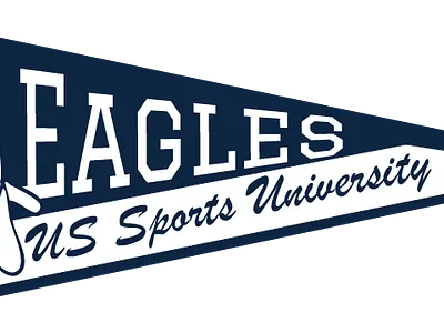University Pennant Designs branding college flag graphic design illustration pennant sports typography university