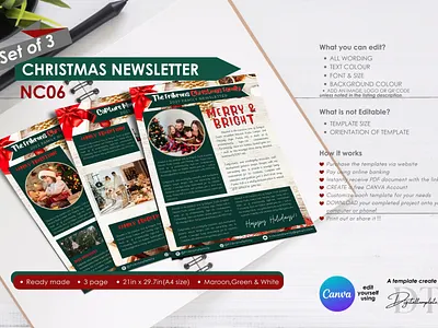 Christmas & New Year Digital Newsletter Template canvatemplates christmas newsletter digitaltemplates graphicdesign holidayfestive newyeartemplate posterdesign