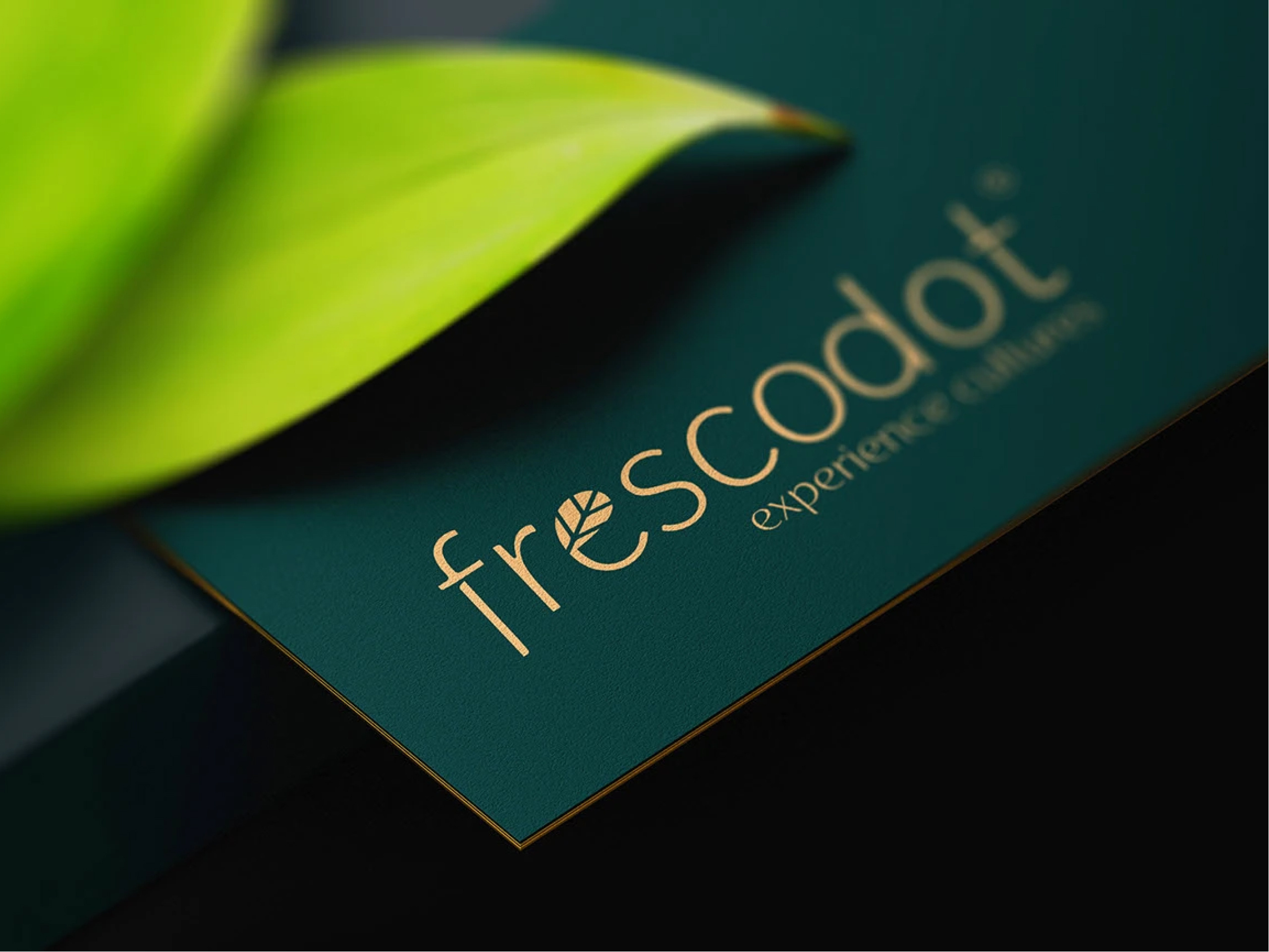 Frescodot Italian Indian Restaurant Branding & Logo Design branding design graphic design logo logo desing typography