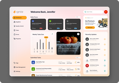 Ignite Platfrom dashboard product design ui ux