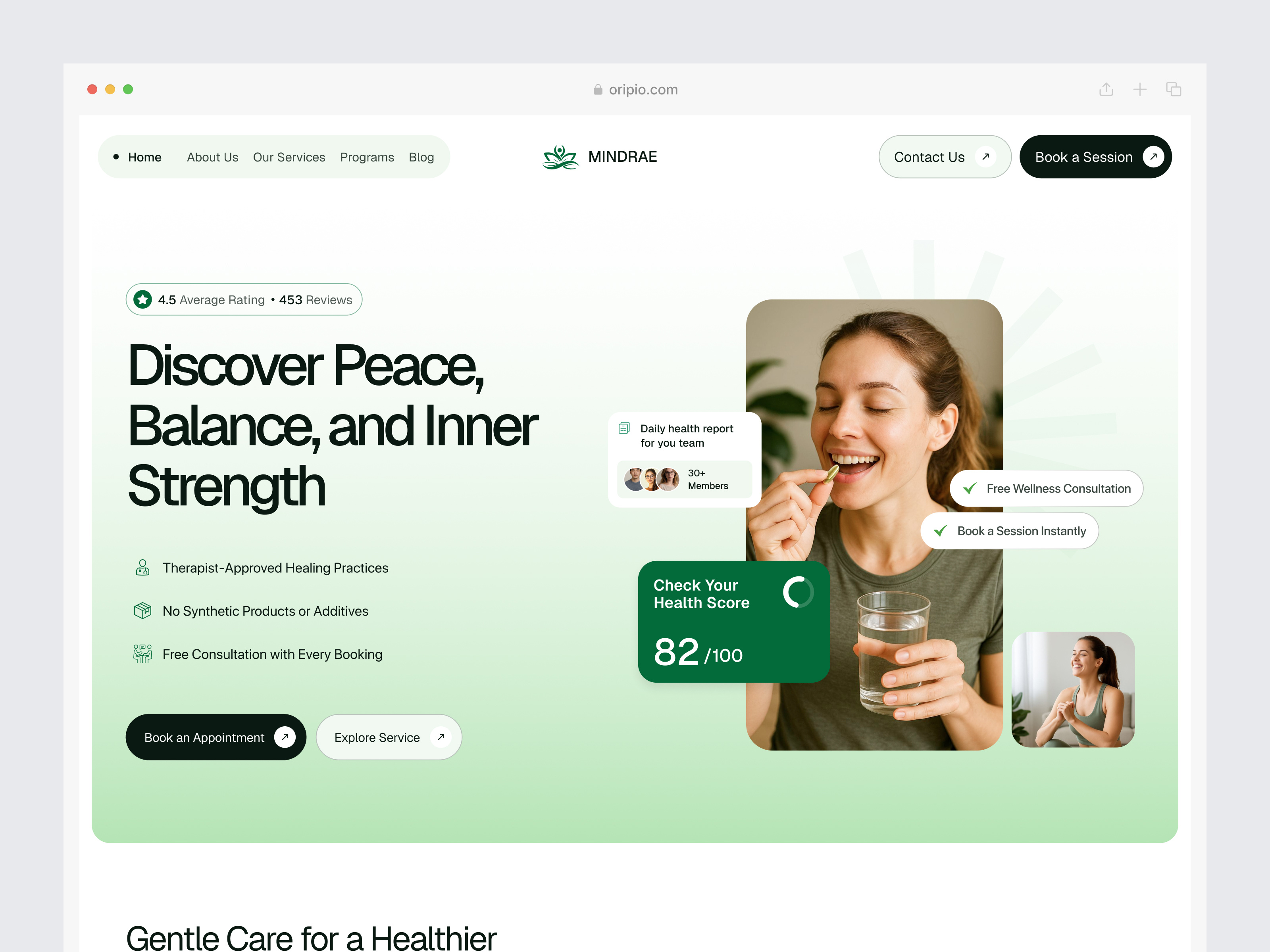 Example of Landing Page Design