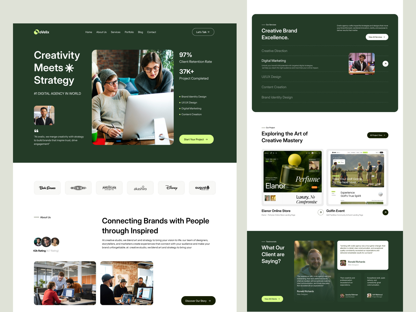 Example of Wordpress  Website Development  10 Pages