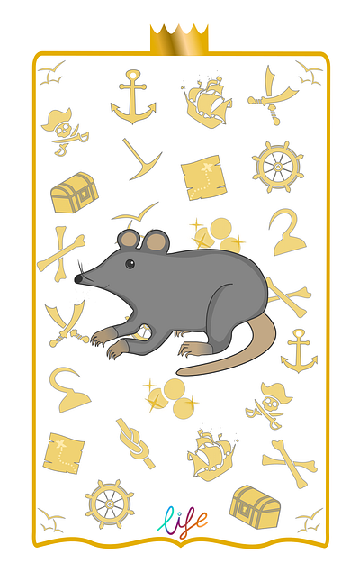 Card Game Design branding design graphic design illustration logo