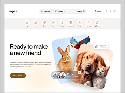 Pet Care Website Design animals website dog ecommerce website landing page pet accessories pet adoption pet care pet care landing page pet care mobile app pet care web pet care website pet care website design pet doctor website pet food website pet shop pet web pet website web design website design