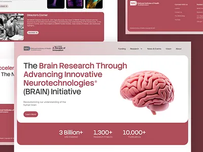NIH Brain Initiative - Redesign Website bright clean company corporate health nih red ui uidesign usa webdesign