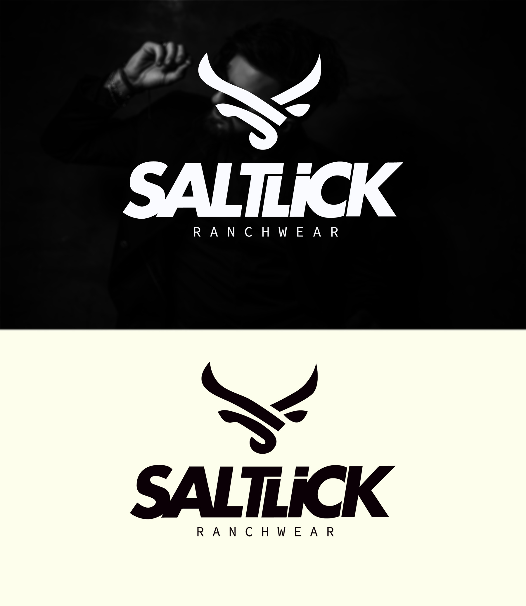 Saltick Logo 3d animation branding design graphic design illustration logo motion graphics ui vector