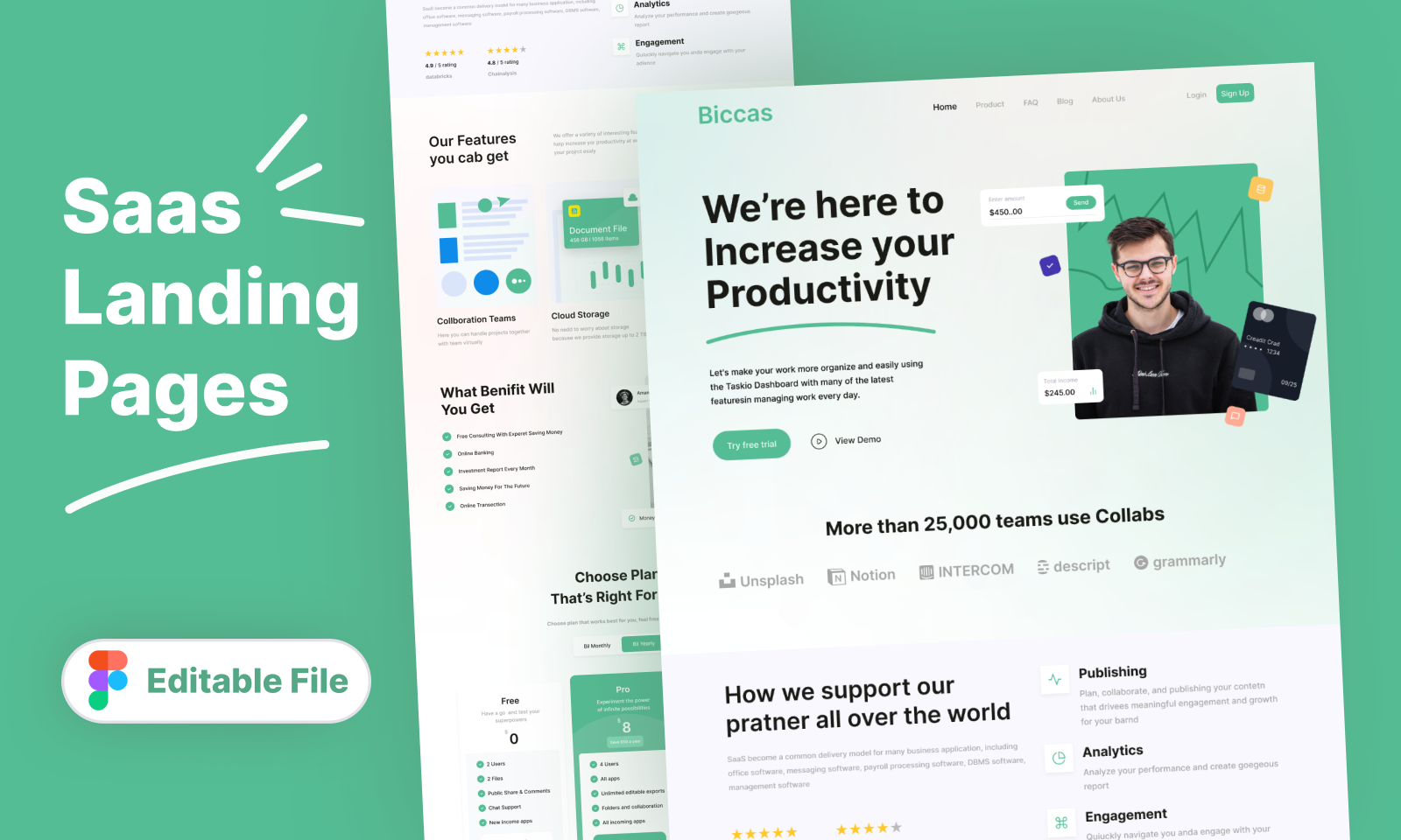 BICCAS Landing Page 3d animation app branding design graphic design illustration logo motion graphics ui vector