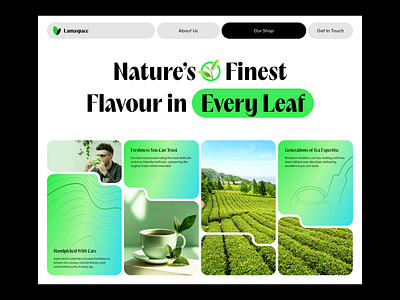 Tea Shop Website Header — UI Exploration bold coffee coffee shop ecommerce header landing page local store modern mono product store organic product shopify store shopify web design tea tea shop typography ui ux web design website