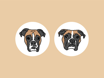 Boxer Dog Illustrations boxer boxer dog contour drawing custom drawing digital illustration dogs flat illustration procreate