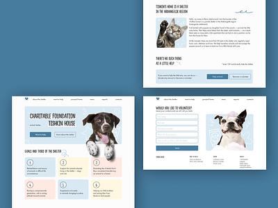 Website design for charity foundation animal charity design site studio ui ux web webdesign