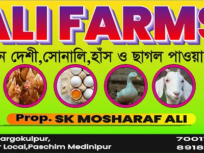 Banner Design branding graphic design