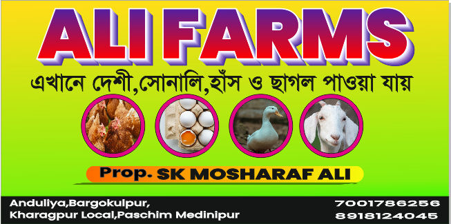 Example of Flex Or Banner Design