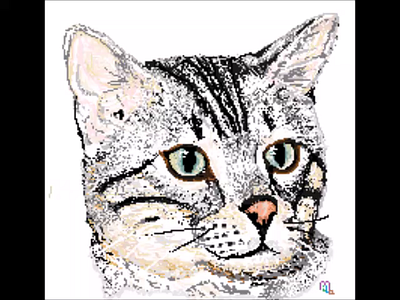 gato bengala animation dibujo drawing illustration paint