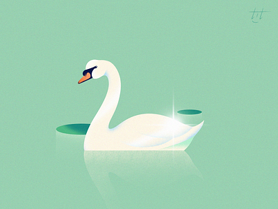 Swan - 天鹅 ❤ animal goose illustration illustrator nature photoshop swan
