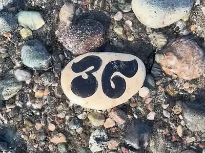 Saying goodbye to the pebbles 36 days of type graphic design handdrawn lettering merch design pebble physical design typography