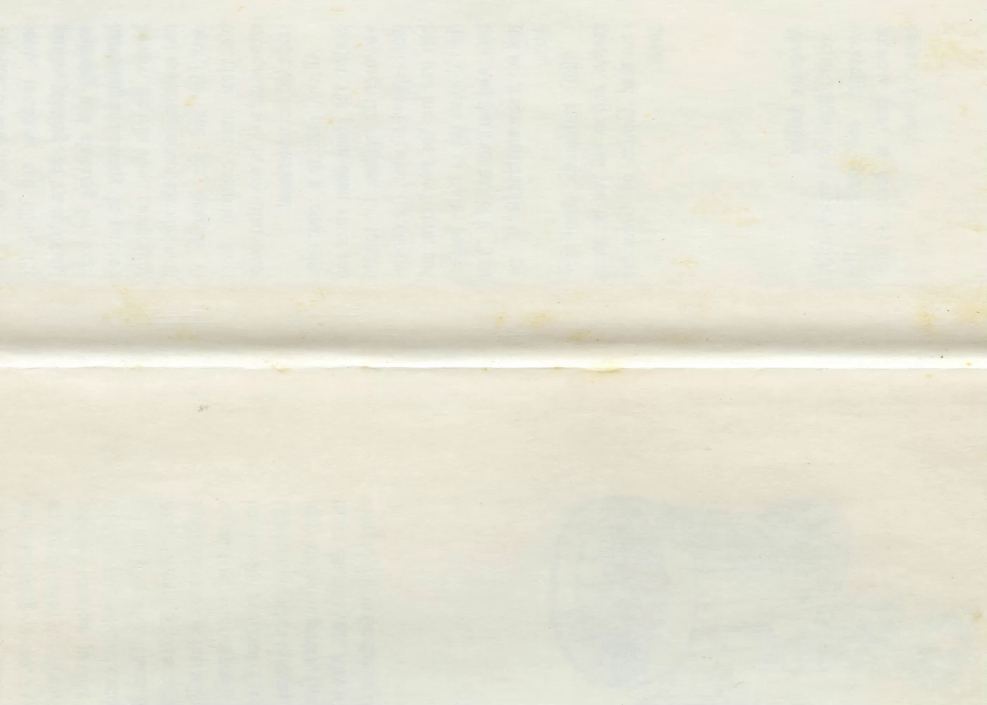 Example of Custom Logo Design / Logo Animation