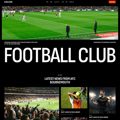 Calcio - Football & Soccer WordPress Theme blog business design illustration ui web design webdesign wordpress wordpress theme wordpress themes