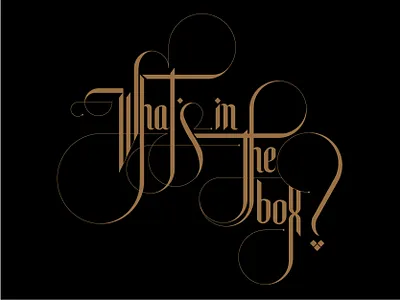 What's in the box? design graphic design illustration lettering type typography