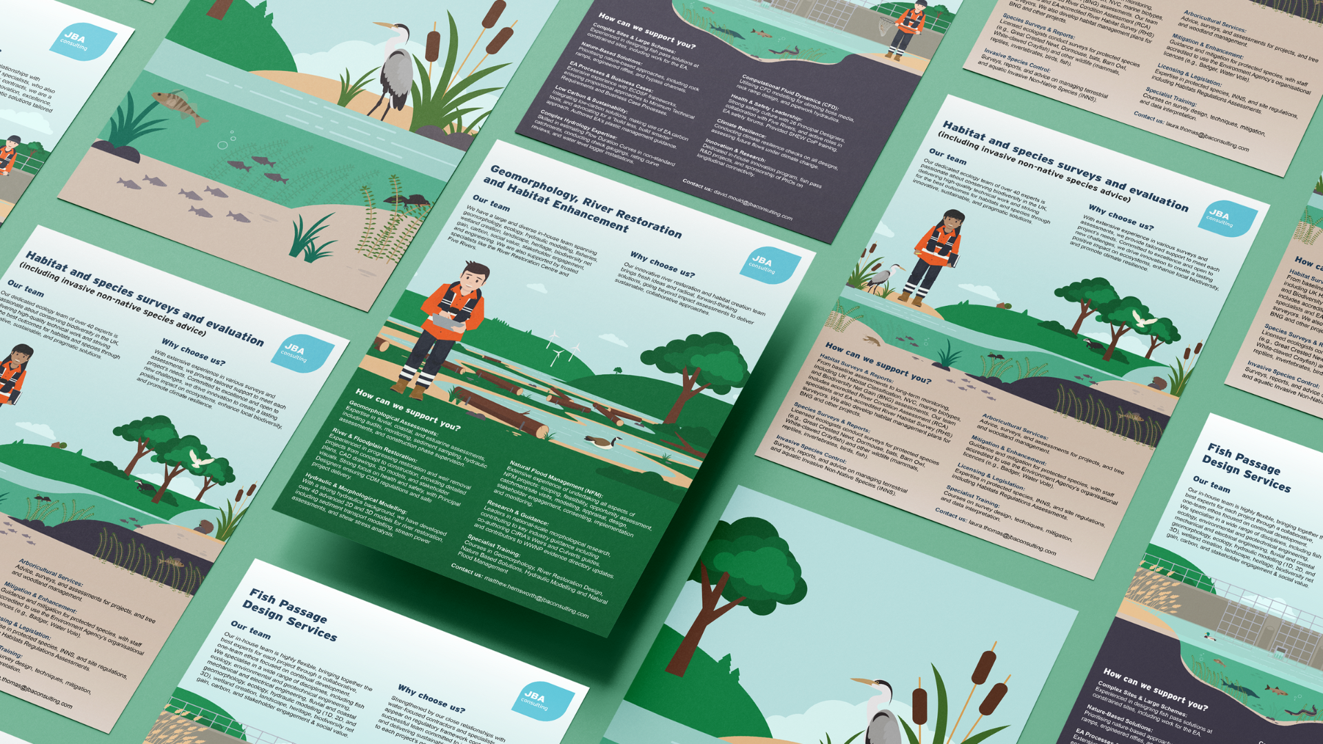 Illustrating the Wild: ECOSF4 animals climate ecology illustration nature plants waterways wild