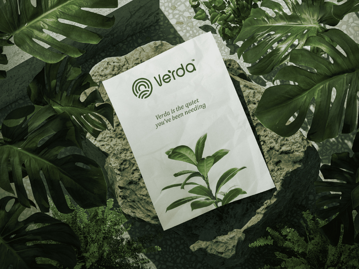 Verda - Eco Brand Identity & Logo Design brand identity branding eco design graphic design green branding landspace logo logo design sustainable design visual identity