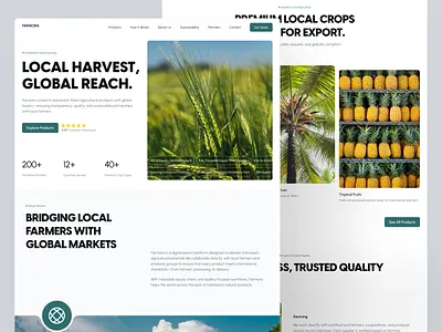Farmora — Export-Ready Agriculture Platform agriculture business site clean design company profile design e commerce website farm farmers landing page minimalist online store product product website shop ui uidesign uiux ux uxdesign website