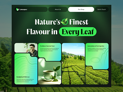 Tea Shop Website Header — UI Exploration bold coffee coffee shop dark mode dark ui design ecommerce green landing page local store modern natural online store tea tea shop typography ui ux web design website