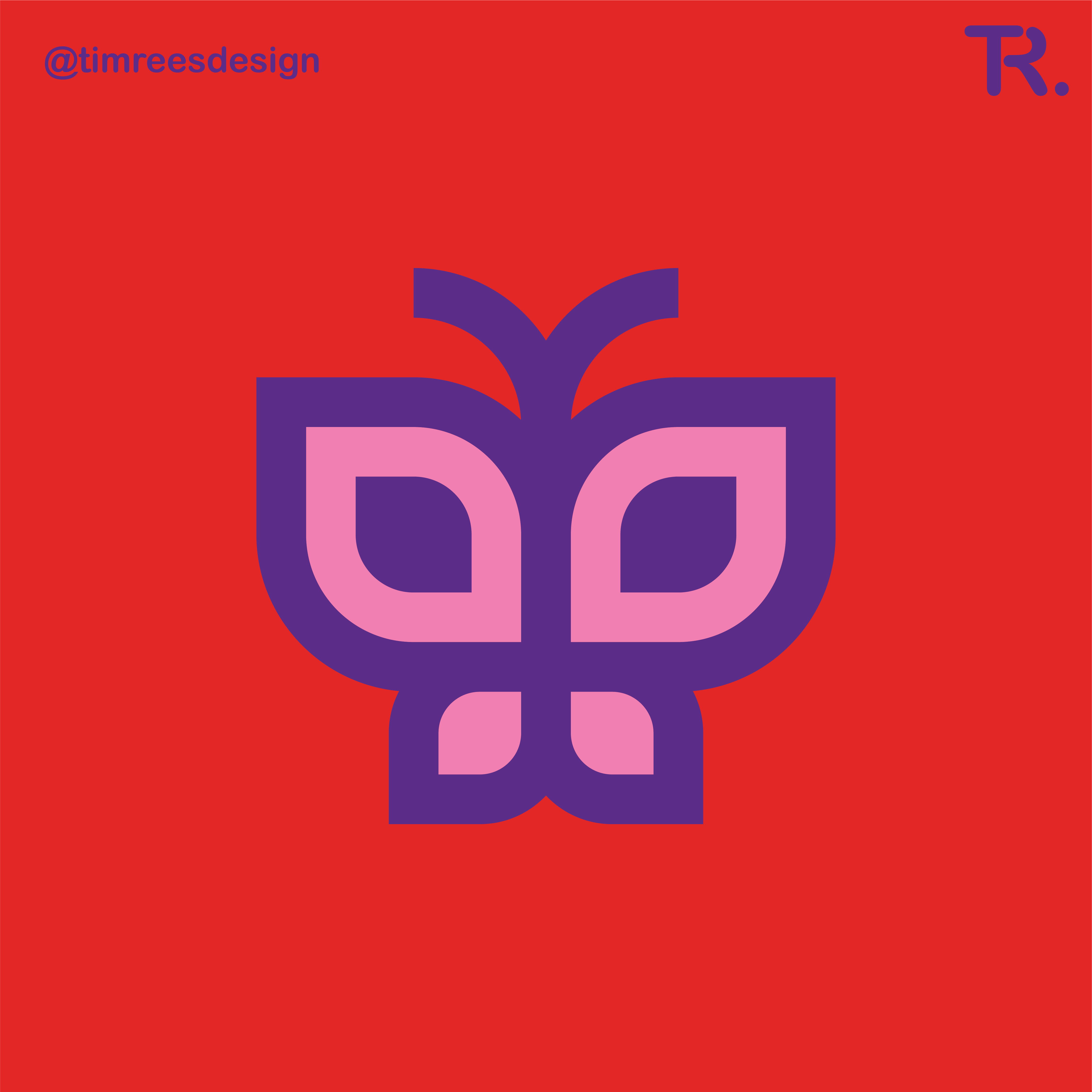 BUTTERFLY LOGO branding design graphic design graphicdesign graphicdesigner illustration logo vector