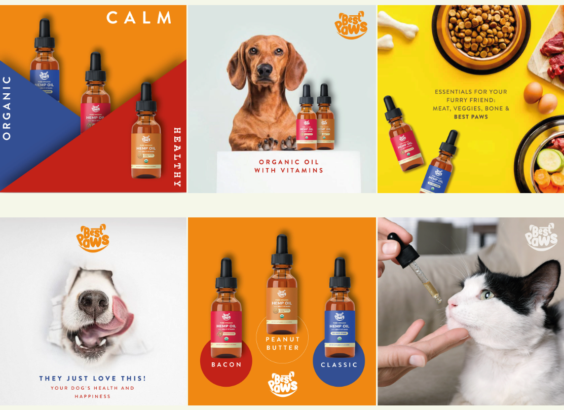 Best Paws Social Media Designs 2026 adobe brand identity branding creative designs creative post creative social media ecommerce banners ecommerce creatives graphic design graphic designer illustrator logo pet photoshop post premium designs social media social media 2026 ui