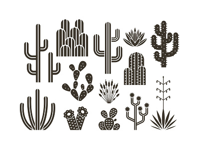 Desert Cactus Icons adobe illustrator botanical icons cactus icons cactus illustration clean design desert icons desert plants graphic design icon set illustration minimal icons modern vector nature icons outline icons plant icons silhouette icons succulent icons ui icons vector icons western icons