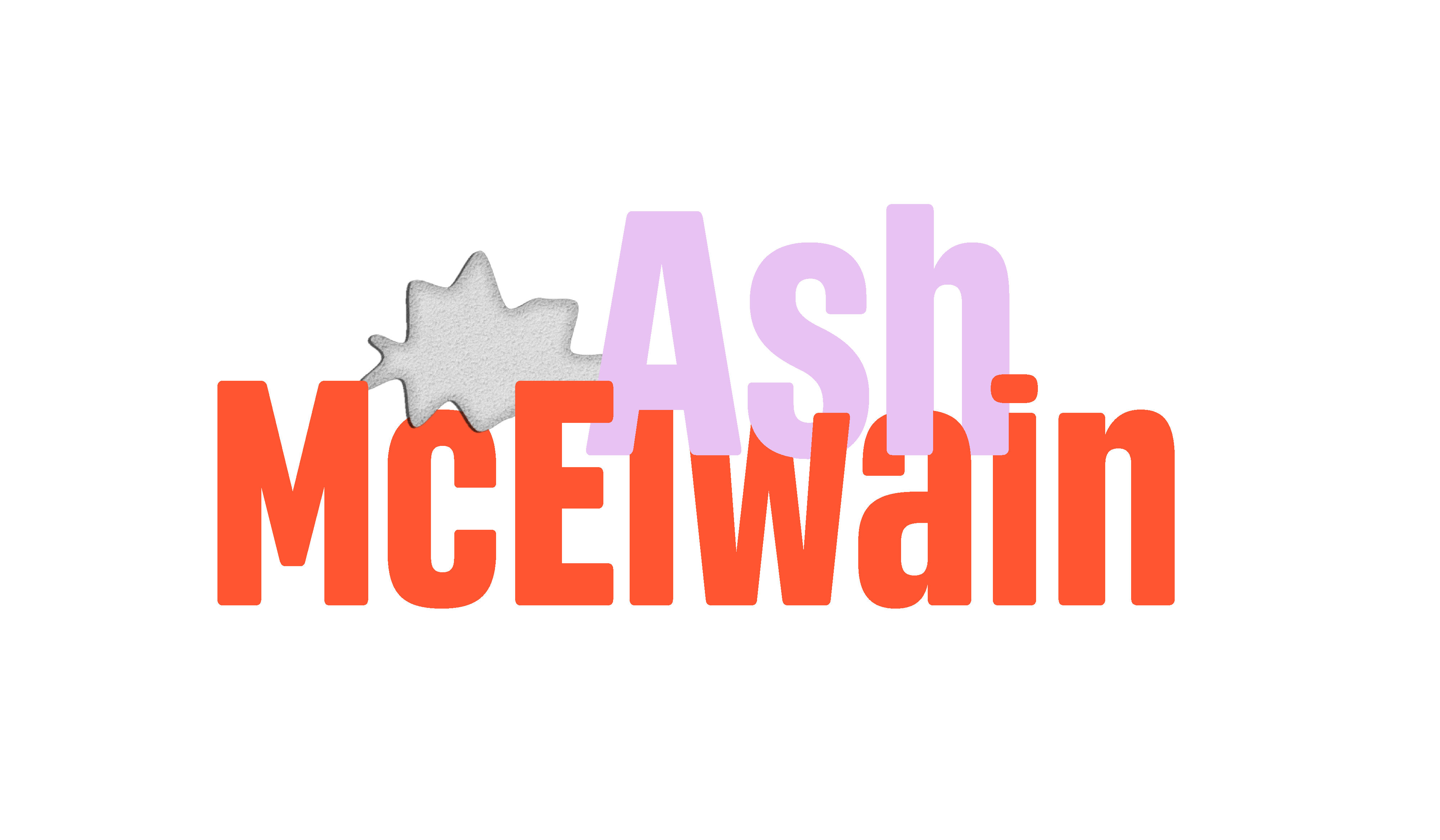 Example of Professional Resume