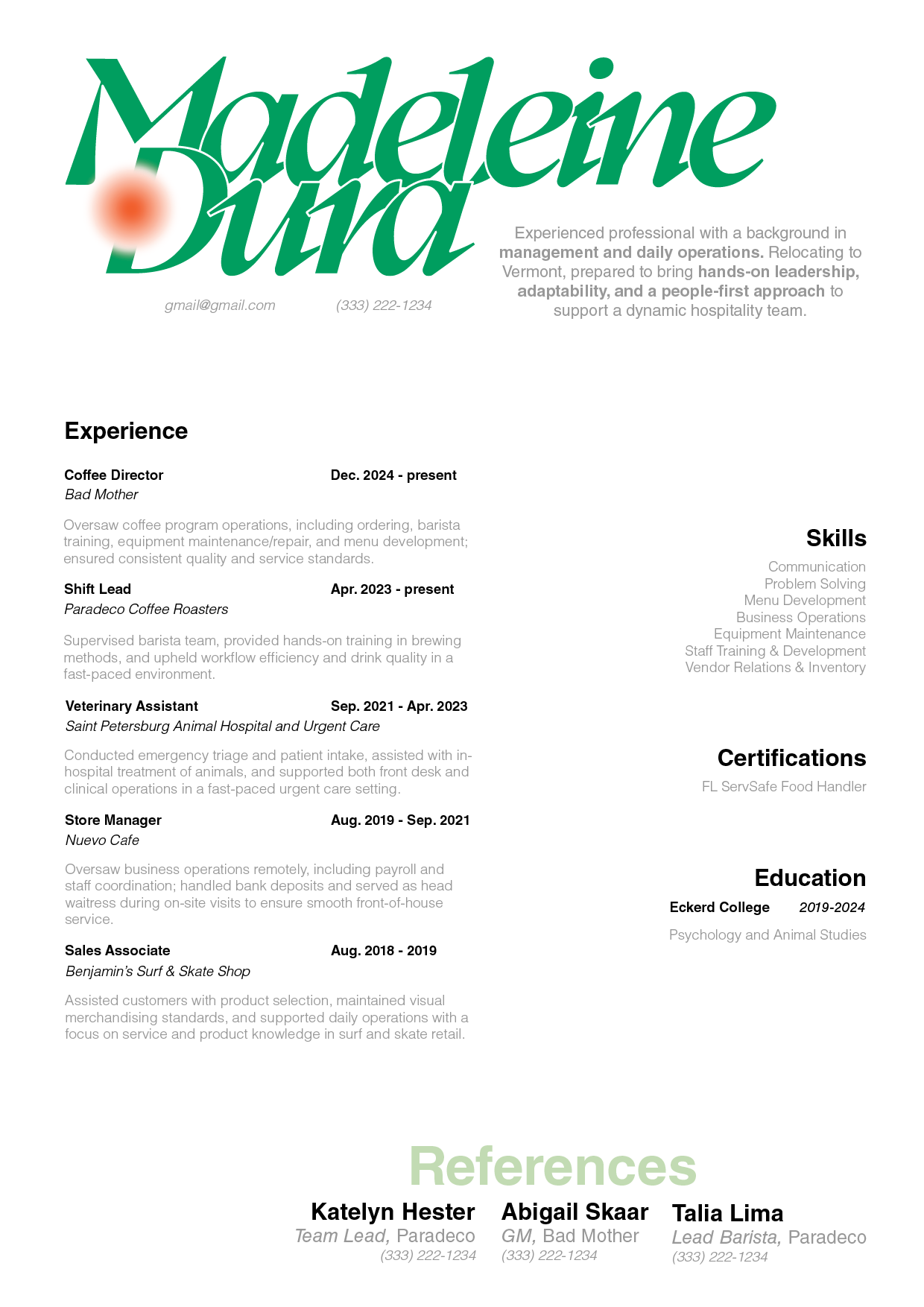 Example of Professional Resume