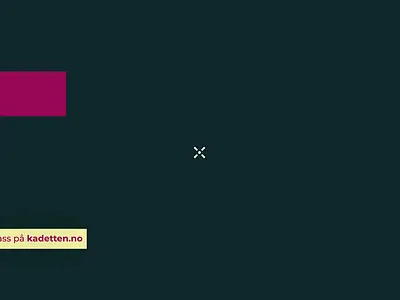 Kadetten ads advertising animation branding colors commercial festival graphic design hiphop logo motion graphics music social media stage