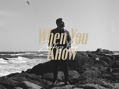 Cover Art album art branding cover art graphic design illustration logo music photography single art