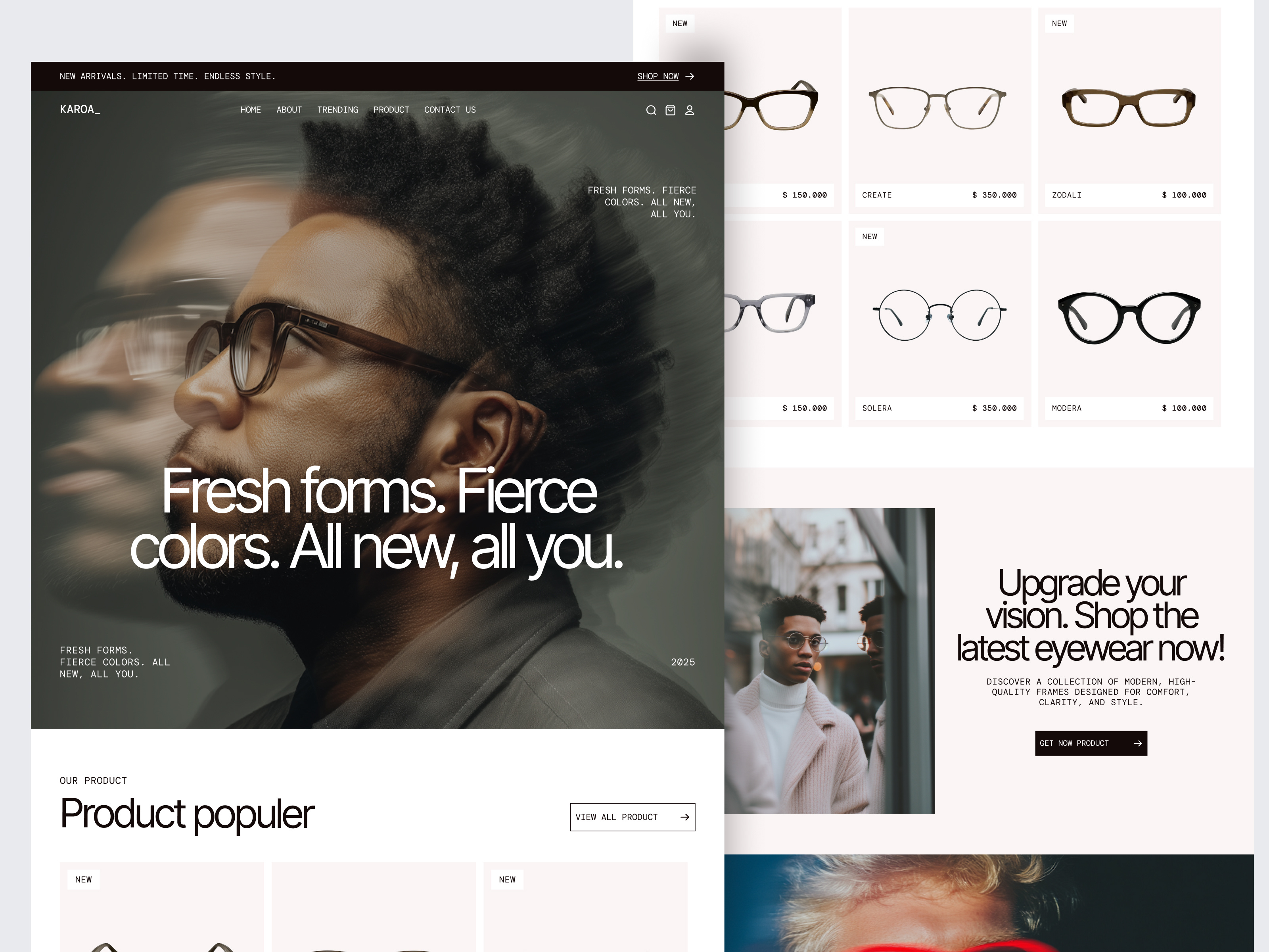 Example of Karoa_ - ecommerce Landing Page