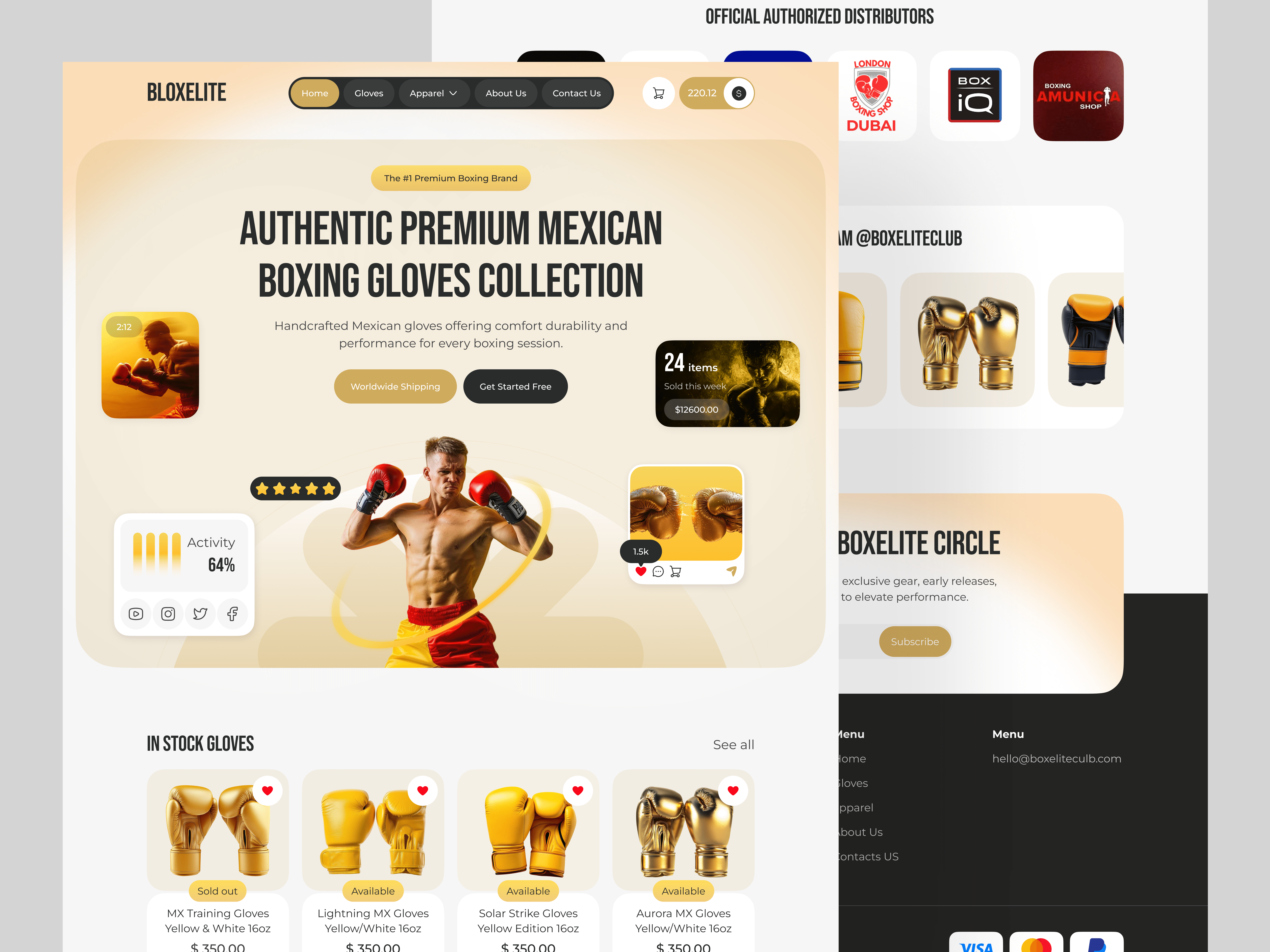 Example of Boxing Gloves – eCommerce Landing Page