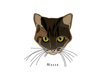 Cats british shorthair cat cat breed character design drawing eyes ginger cat graphic design illustration illustrator portrait tabby vector