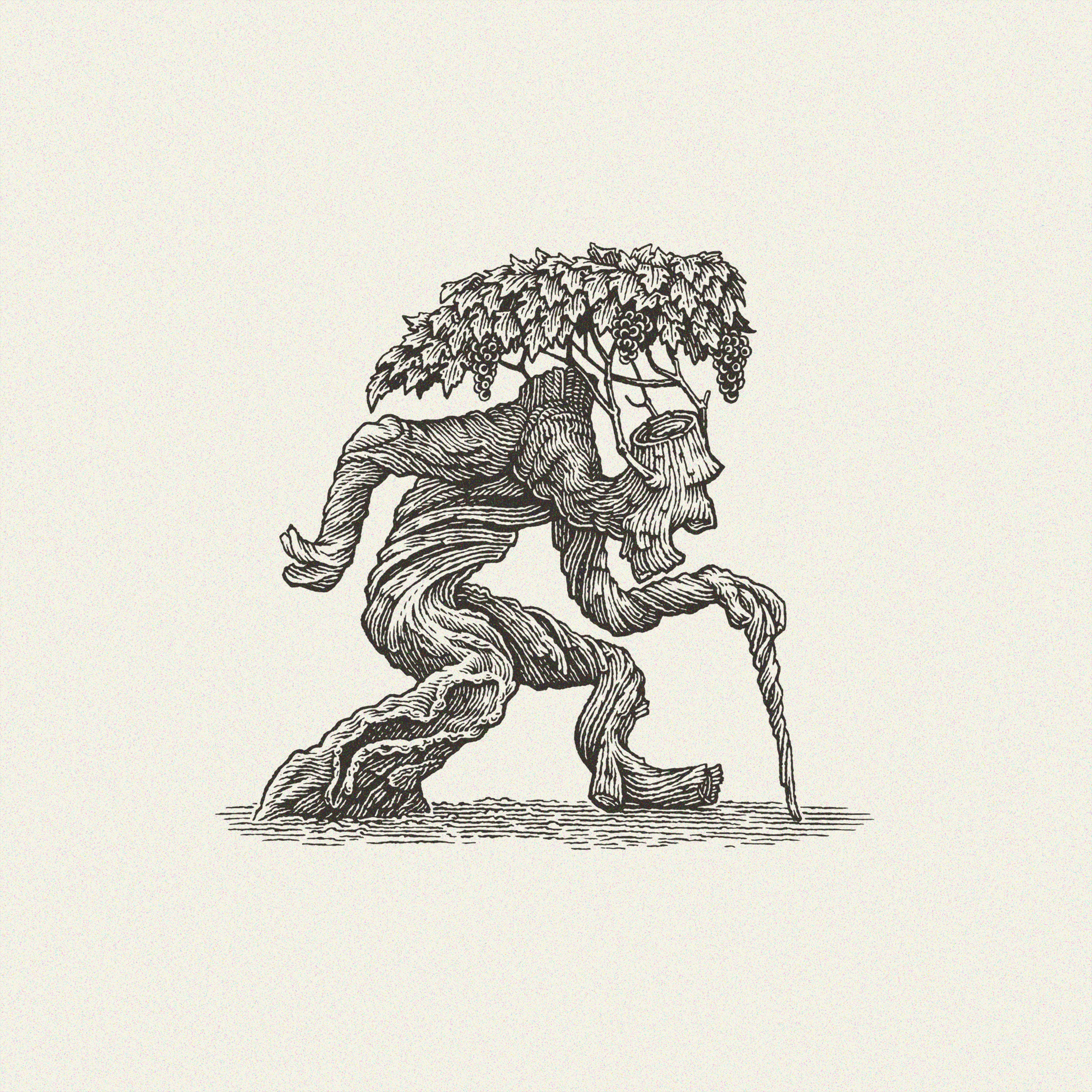 Old Vine black and white branding clay board food and beverage label illustration line art line engraving logo logo design packaging packaging illustration pen and ink pen drawing scraperboard scratch board visual identity wine winery wood engraving woodcut