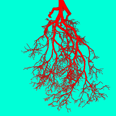 trunk... lungs... doodle illustration lungs shunte88 tree trunk vector